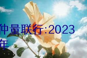 仲量联行:2023年中国零售地产市场报告|房地产